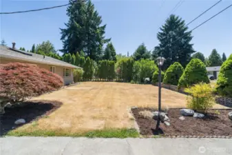 Mature shrubs create privacy