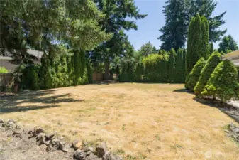 Large rear yard