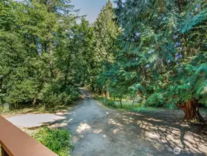 1-story with Basement, Garden, Cedar Trees, and more!