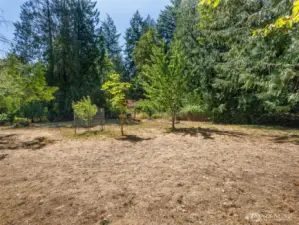 Fruit Trees & Garden