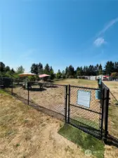 Off leash dog area
