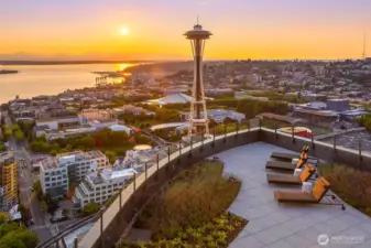 Panoramic views of downtown, the Space Needle, Elliott Bay, and the Olympic Mountains take center stage.