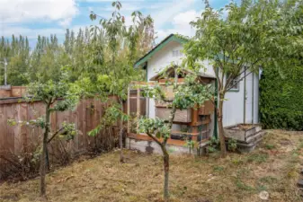 Fruit trees