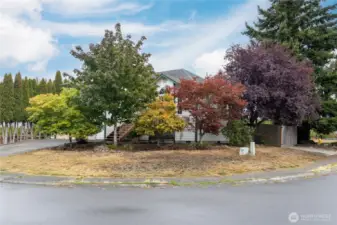 Large corner lot has mature trees for great privacy