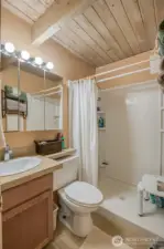 Bathroom w/ Step-In Shower