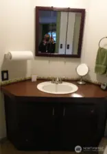 Bath off of Primary Bedroo Vanity