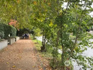 Autumn River Walk