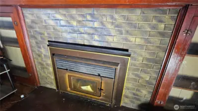 LR fireplace