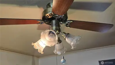 ceiling fan downstairs