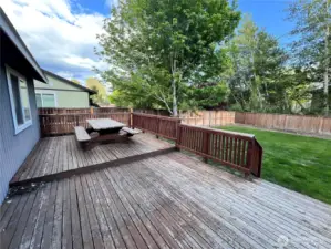 Deck/Backyard