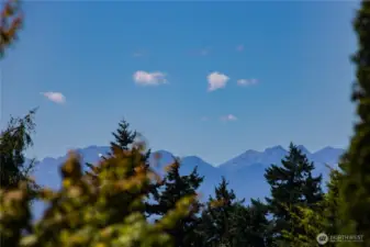 Mountain view from the front yard.