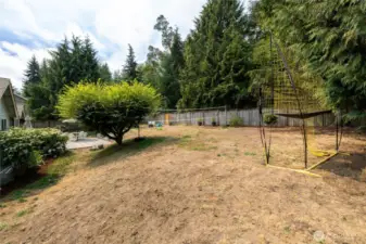 Big Fully fenced Backyard