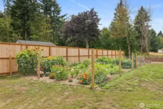 Fenced Veggie/Flower Garden