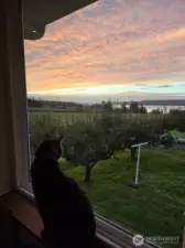 Enjoying the gorgeous sky as the sun sets over Penn Cove from the dining room window sill.