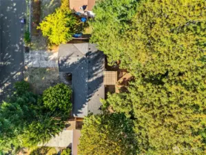 Drone view of home. Check out the mature landscaping!