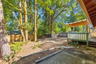 Large back yard--check out the mature trees and covered deck!