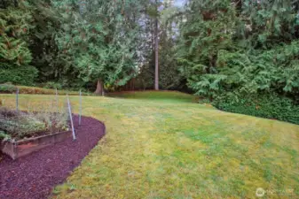 Invisible Fence Installed