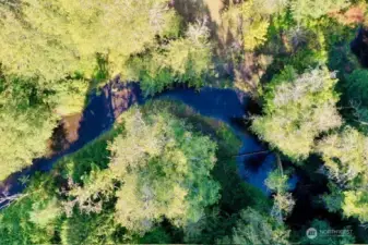 Unique view of the creek running from Mason Lake to Case Inlet