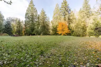 Open Area - Currently Disc Golf Course