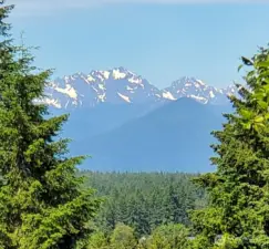 Potential view from 2nd story of home.