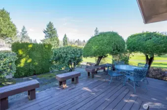 Lovely outdoor entertaining