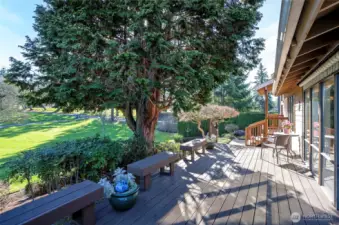 View of golf course from deck