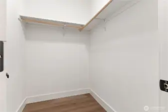 Primary closet