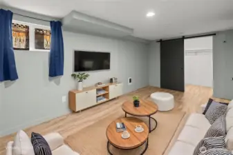 Downstairs flex room