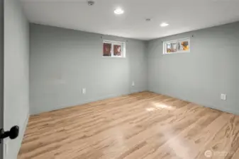 Downstairs finished room