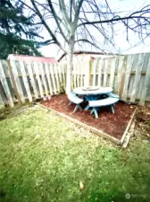 Large backyard picnic area .