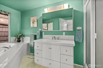 Primary bathroom
