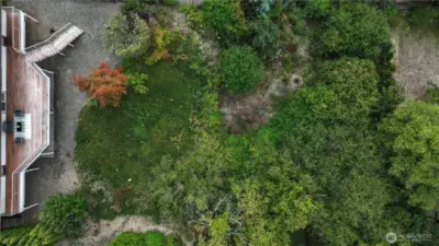 Imagine the possibilities! Terrace this amazing space and add a pool, sport court or garden oasis. It's a blank canvas!