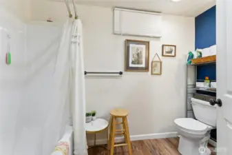 Basement Bathroom