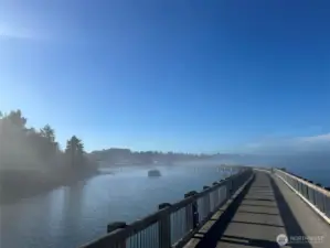 Taylor Dock, a longer walk or 8 minute drive and a magical place to take in the bay views