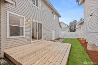 newly landscaped backyard with new sod