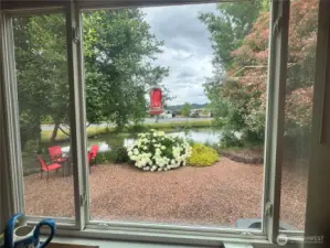 Here's the back yard waterfront, as seen from the living room. It's a view that just doesn't quit. Can you see the wild turtles?