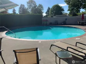 The swimming pool.