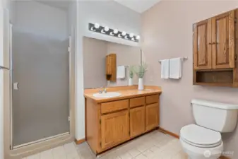 Lower level bathroom