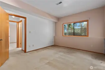 Lower level 2nd bedroom