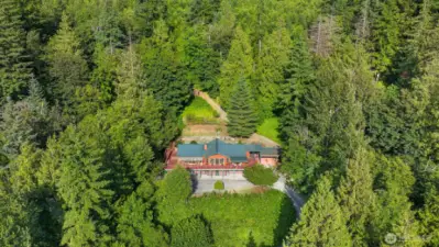 10 acres of forest to play in