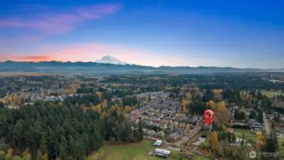 A day trip to Mount Rainier is so fun and adventurous!
