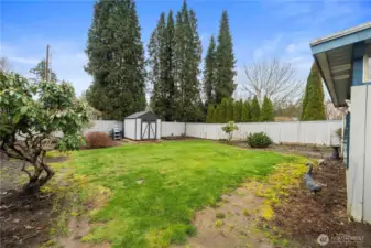 Alt View of Backyard Lawn