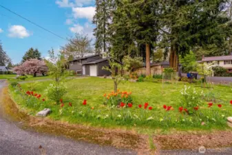 Colorful plantings sprinkled around the property.