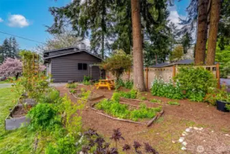 Raised garden beds are sure to please the gardening enthusiast.