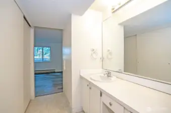 Another view of the primary bath and closet for added