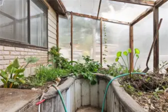 What will you grow?