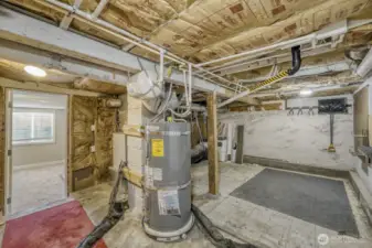 Basement storage and utility area