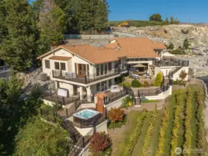 Estate vineyard planted with Chardonnay and Cabernet vines.