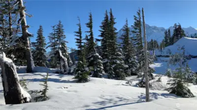 Beautiful Mt. Baker is just 45 minutes from the Glen at Maple Falls. A great place to hike, ski, snowboard, sled, sobwshoe and more!