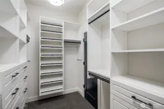 All the bells and whistles in the Primary closet area